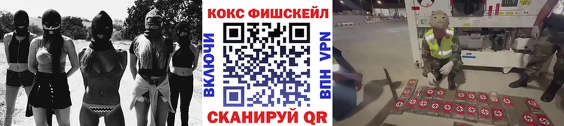 COCAIN Fish Scale Новочебоксарск