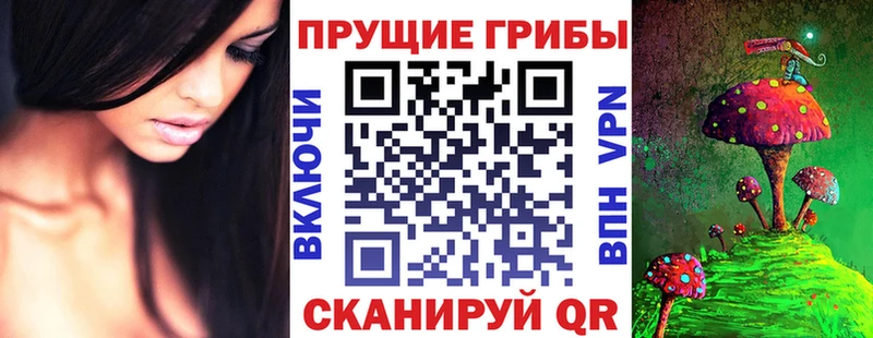 Галлюциногенные грибы Cubensis  blacksprut сайт  Новочебоксарск 